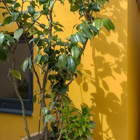 Guestready - Agra Traditional House 1